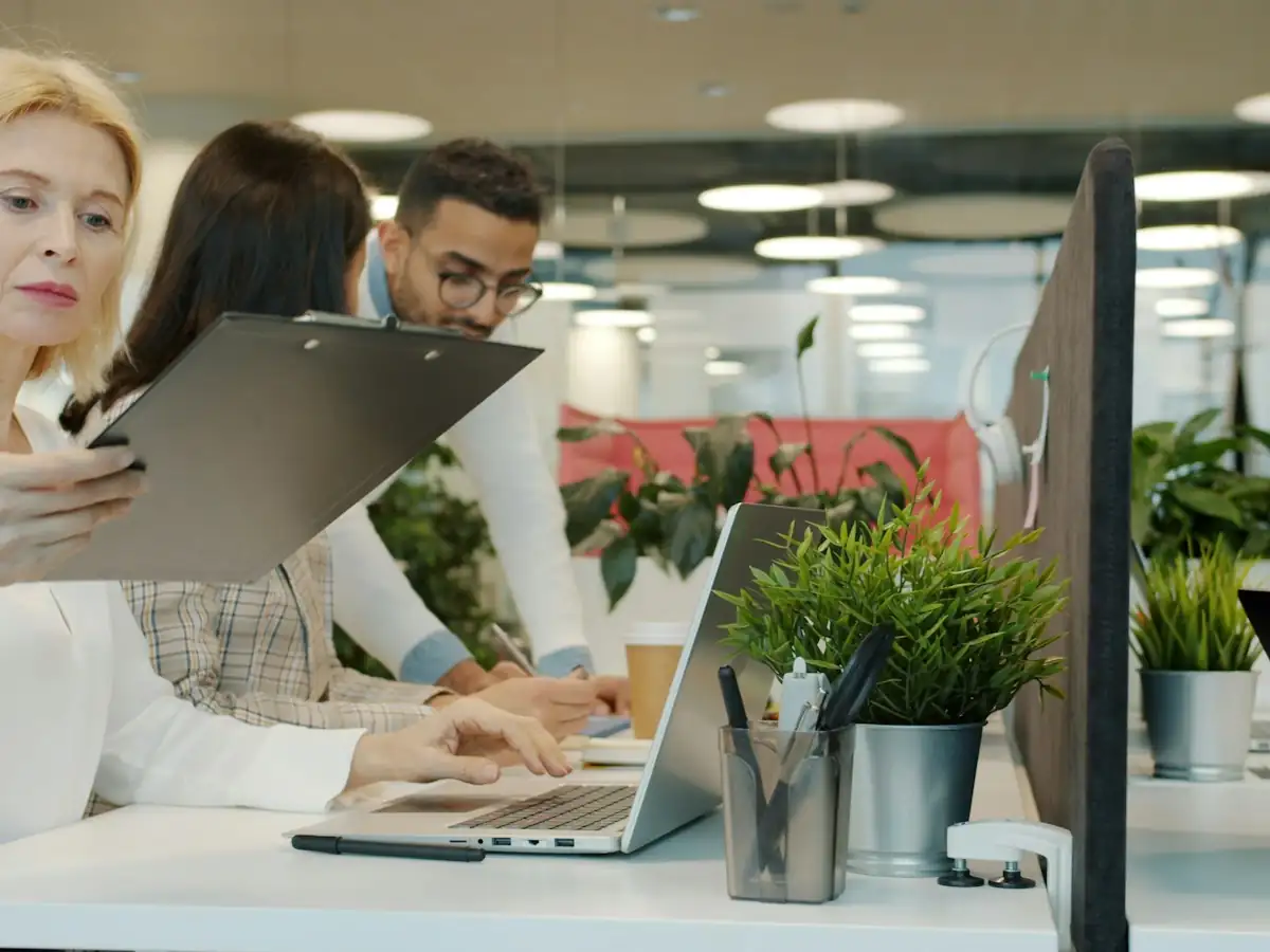 Three colleagues reviewing documents and a laptop at a desk in a bright office with potted plants