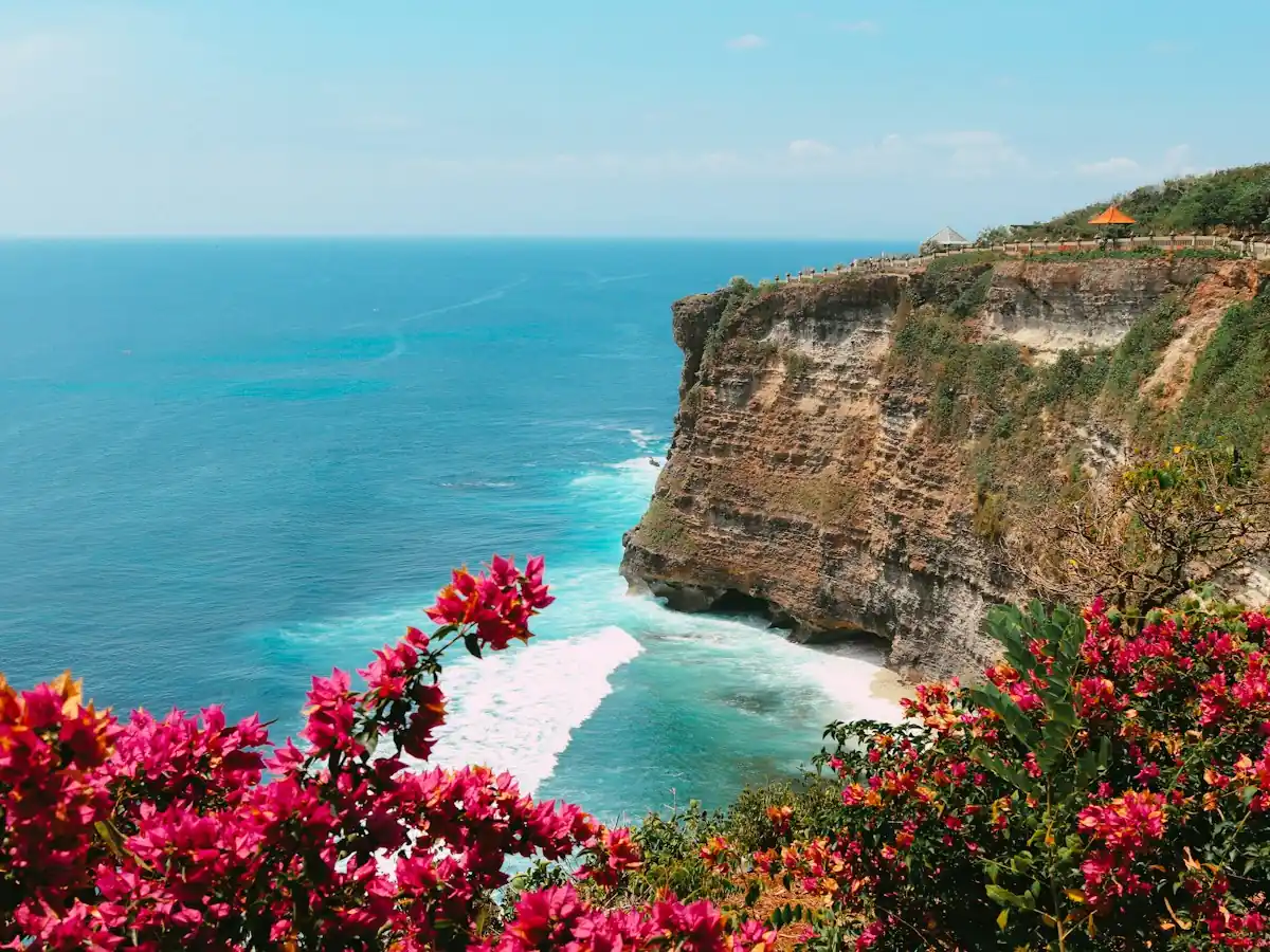 Limestone sea cliffs at Uluwatu above turquoise surf, framed by pink bougainvillea